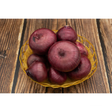 New Crop Chinese Fresh Onion Gansu Purple Onion for Sale